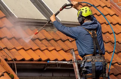 Démoussage et hydrofuge de toiture à Colletot